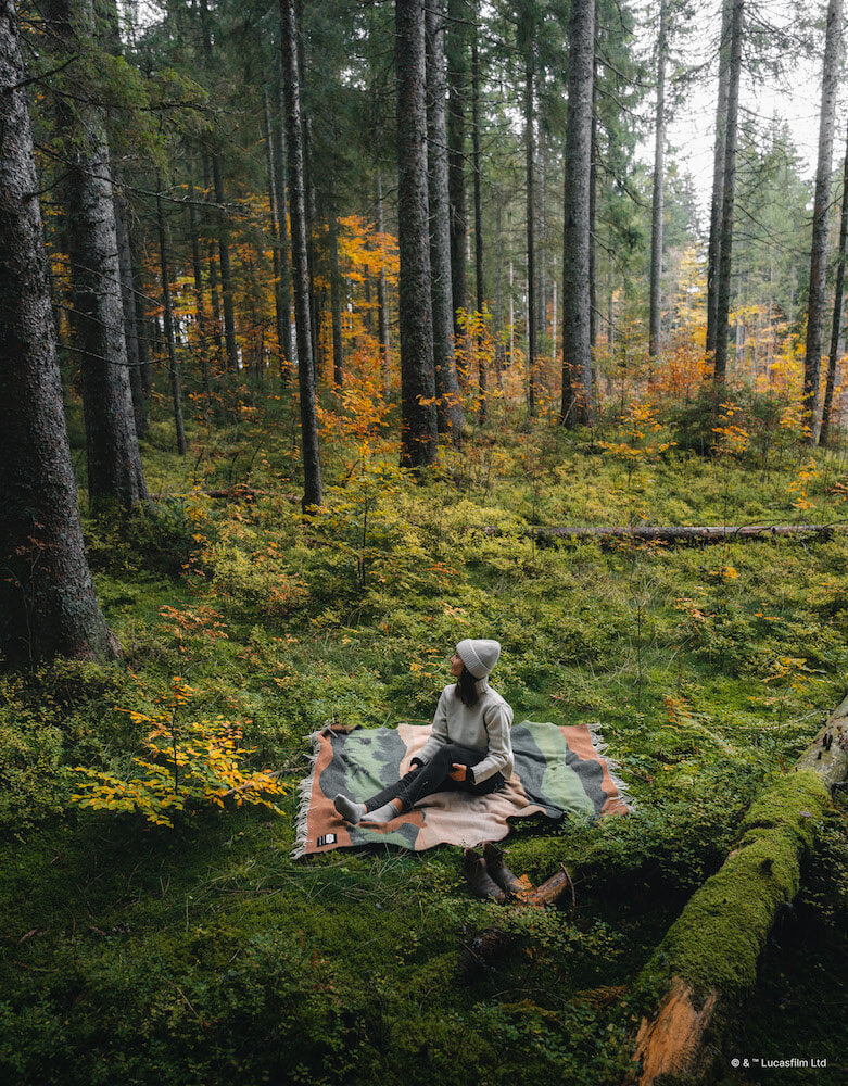 Star Wars Endor�