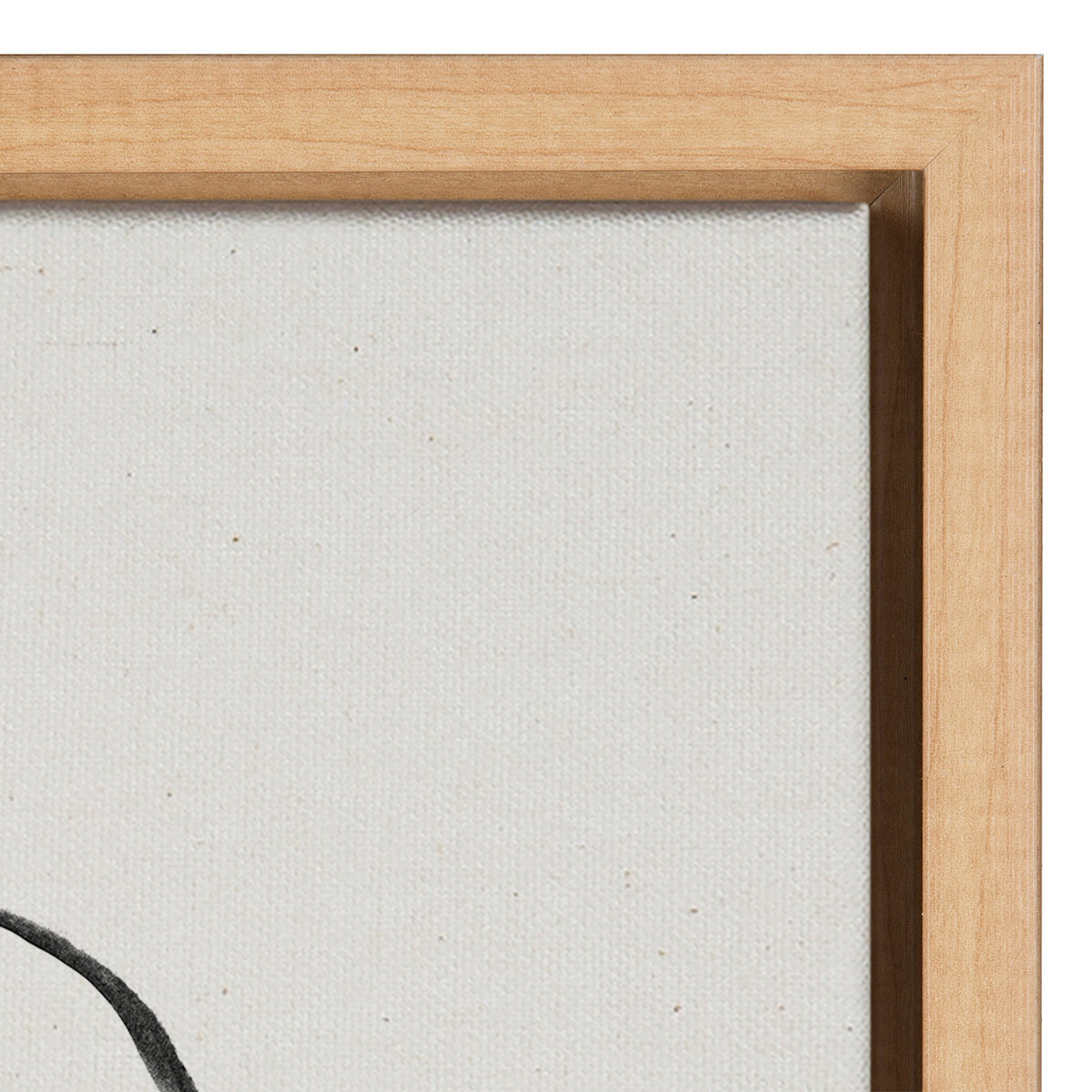 Sylvie Going in Circles Framed Textured Canvas Set by Teju Reval