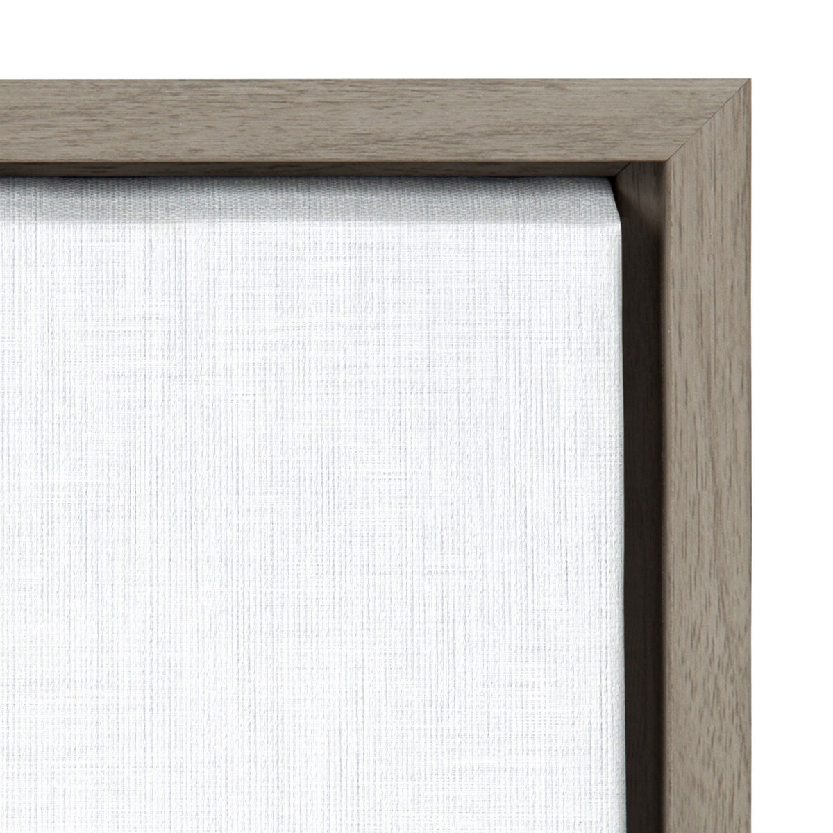 Sylvie Sloth Color Framed Canvas by Simon Te of Tai Prints