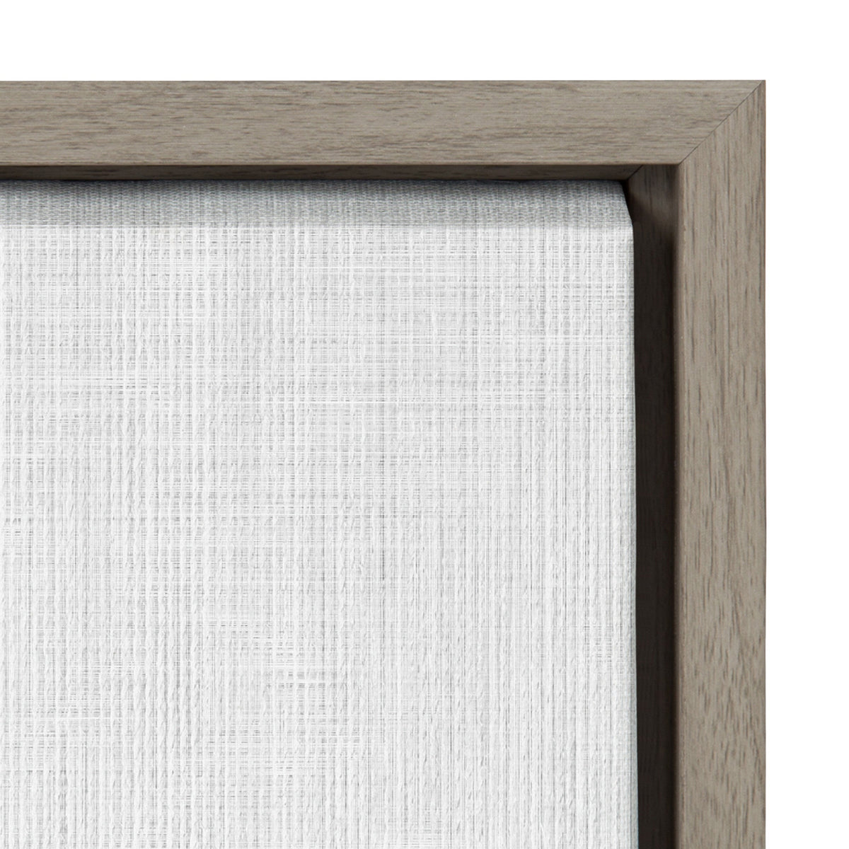 Sylvie Fox Portrait Framed Canvas by Simon Te Tai