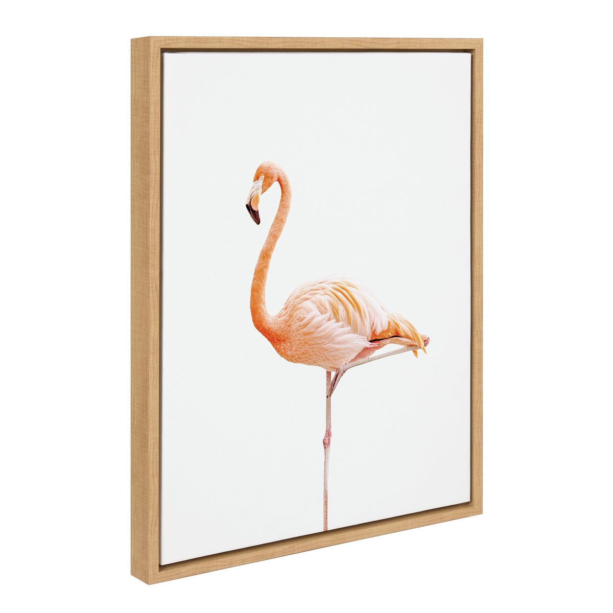 Sylvie Flamingo Standing Framed Canvas by Amy Peterson Art Studio