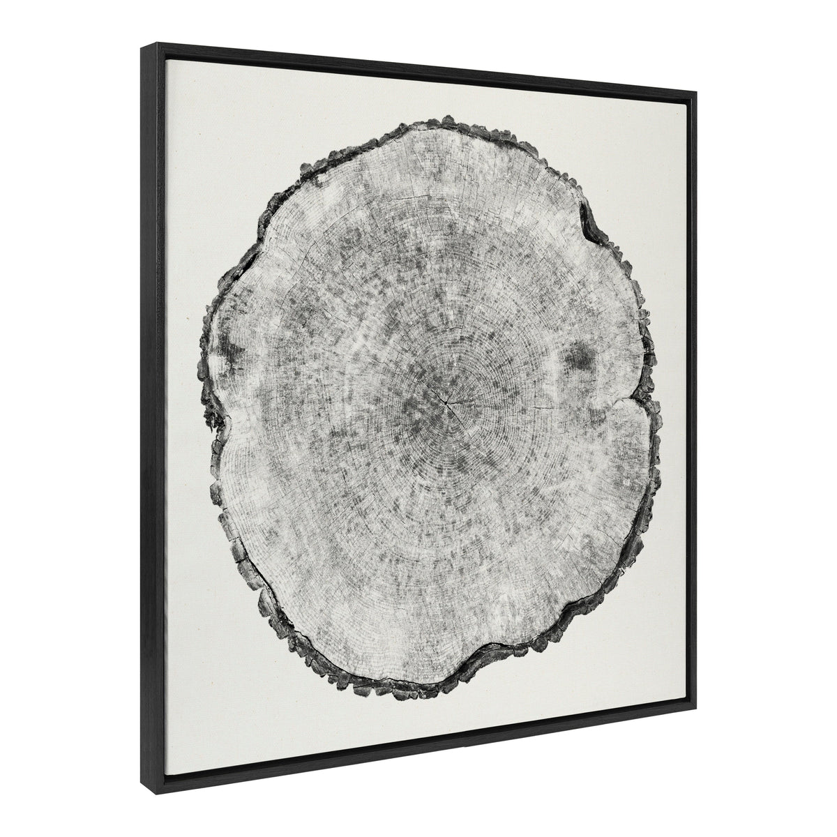 Sylvie Tree Rings Linen Framed Canvas by Emiko and Mark Franzen of F2Images