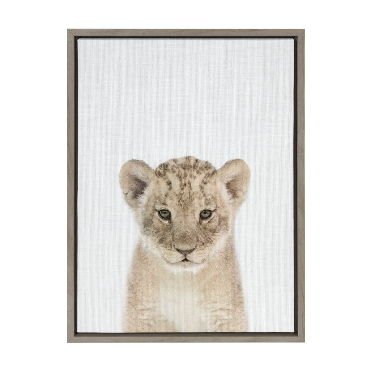Sylvie Baby Lion Color Framed Canvas by Simon Te of Tai Prints