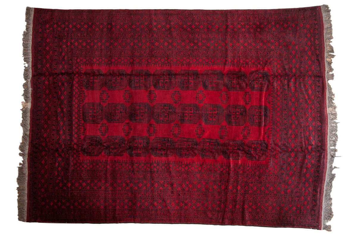 9x12.5 Vintage Afghani Ersari Design Carpet