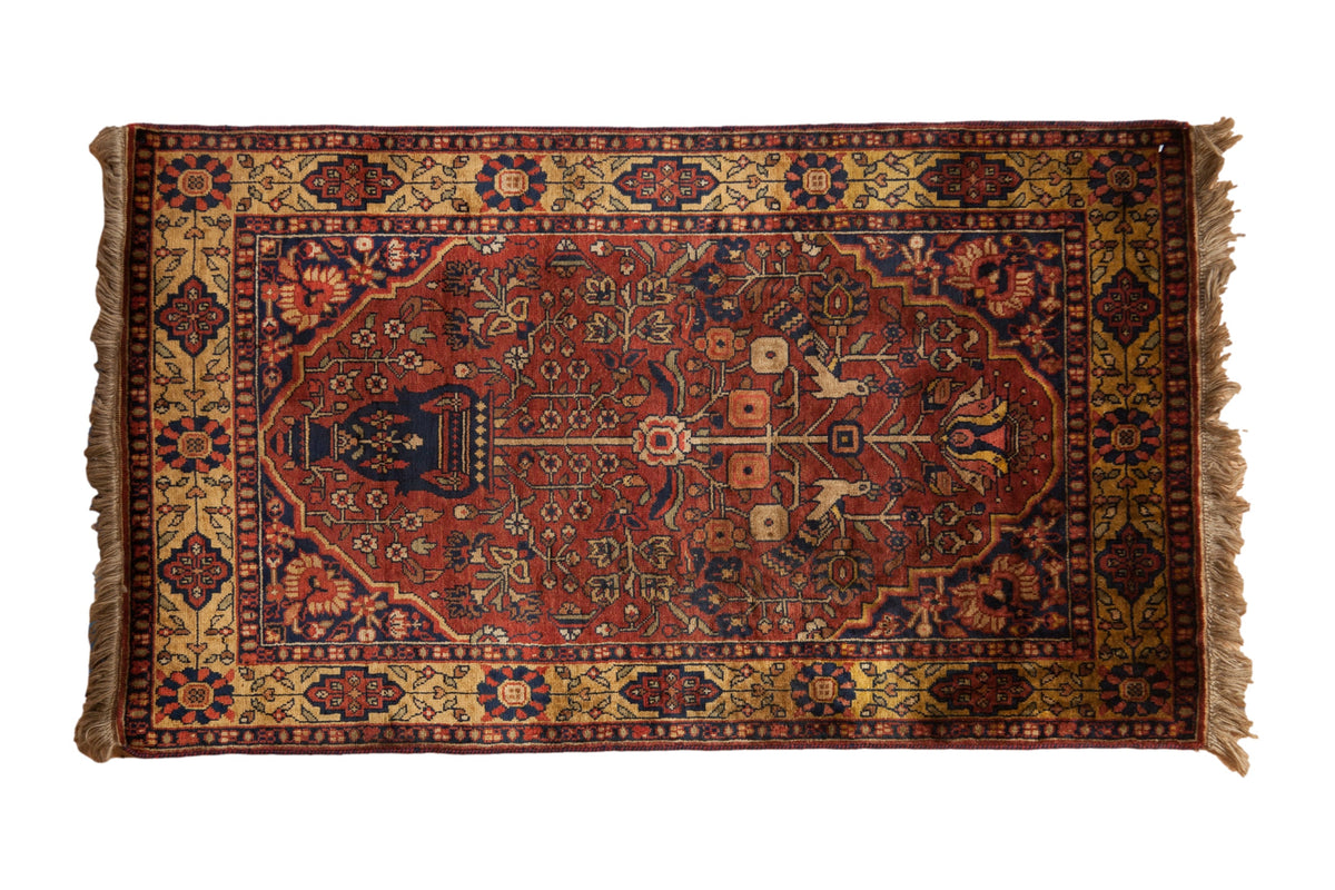 3x5.5 Vintage Indian Bakhtiari Design Rug