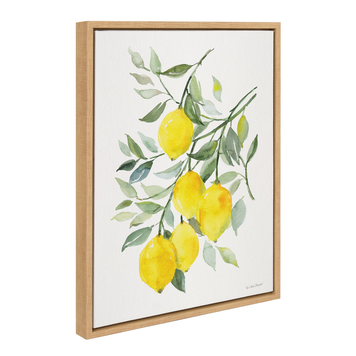 Sylvie Lemon Citrus Framed Canvas by Patricia Shaw