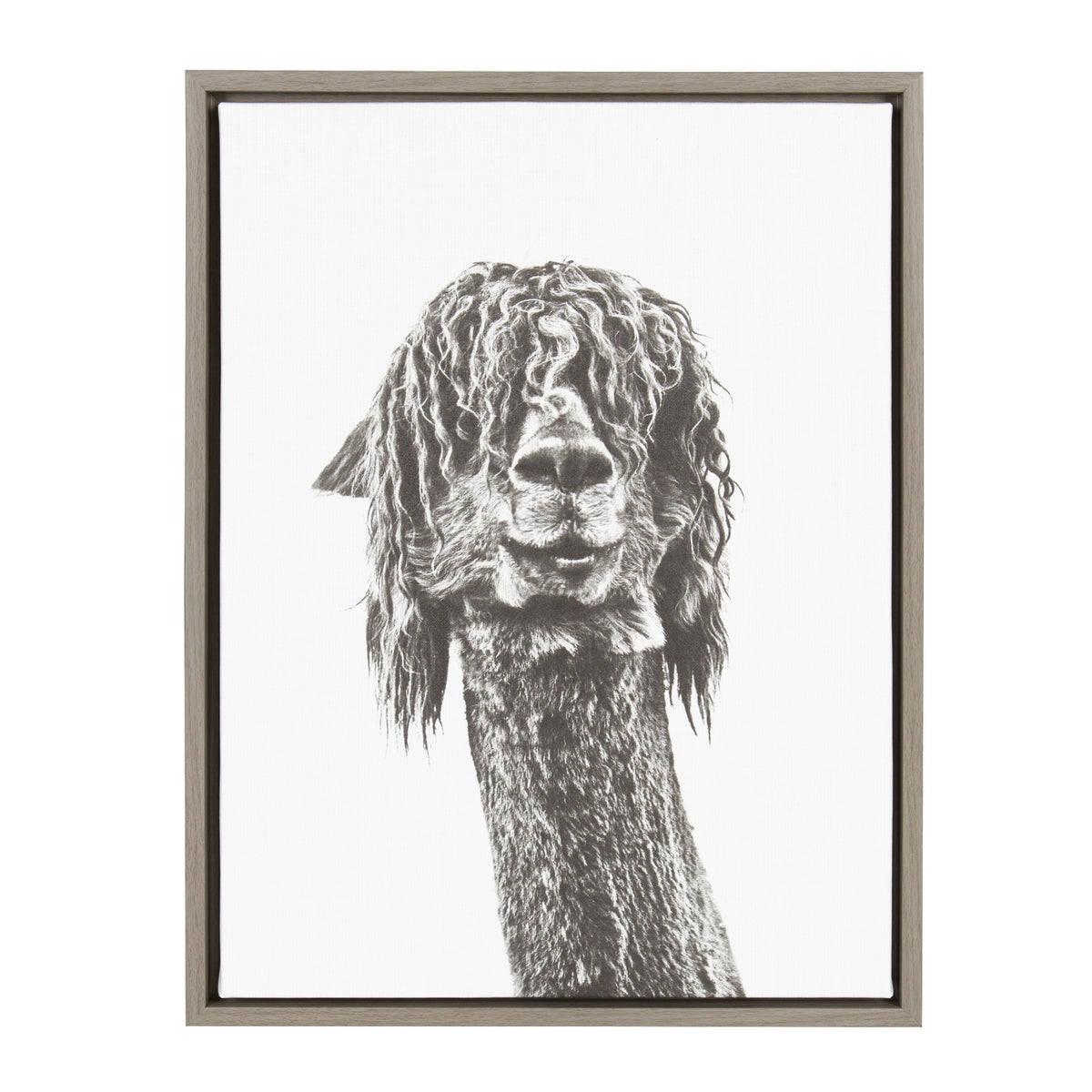 Sylvie Curly Hair Alpaca Framed Canvas by Simon Te Tai