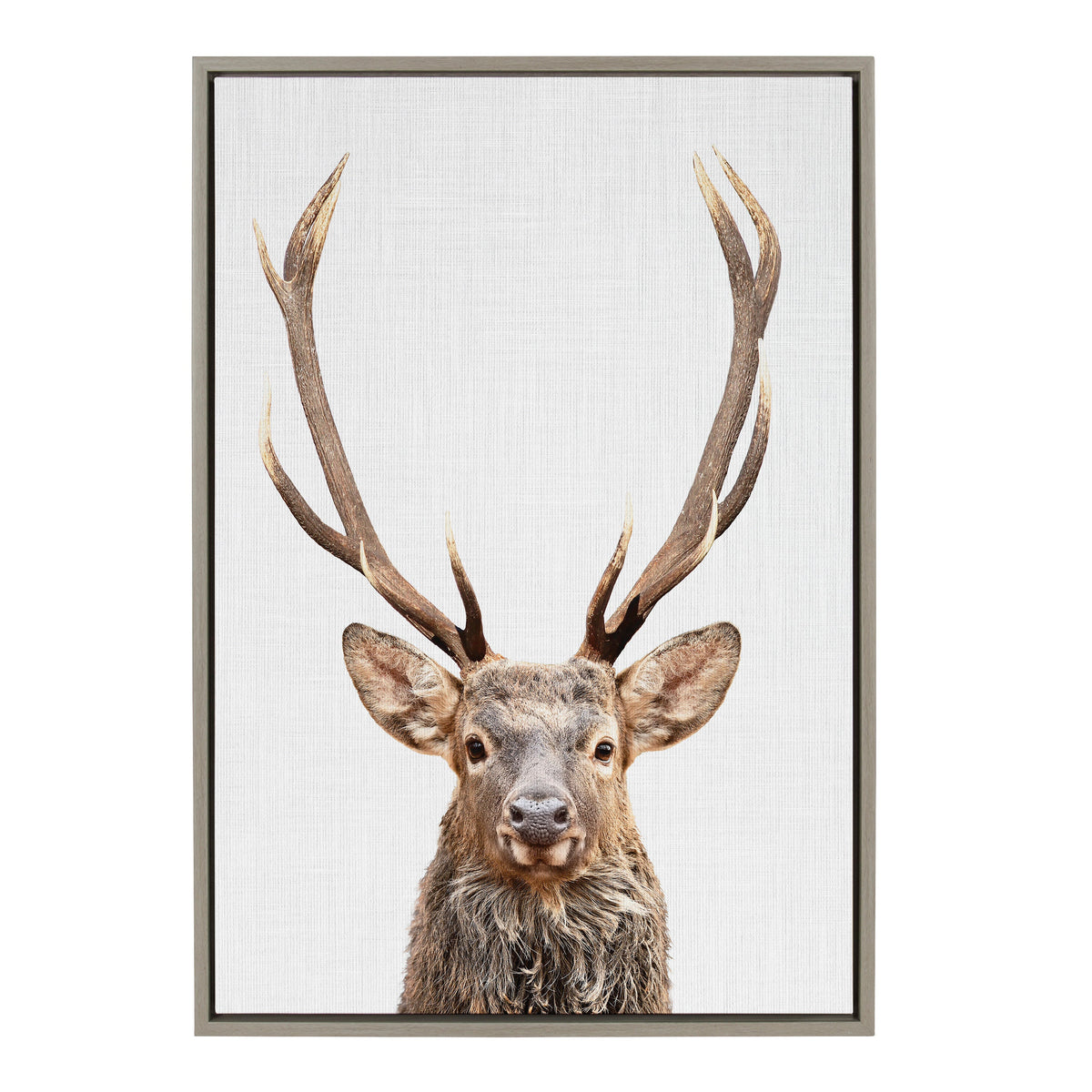 Sylvie The Red Deer Color Framed Canvas by Simon Te of Tai Prints