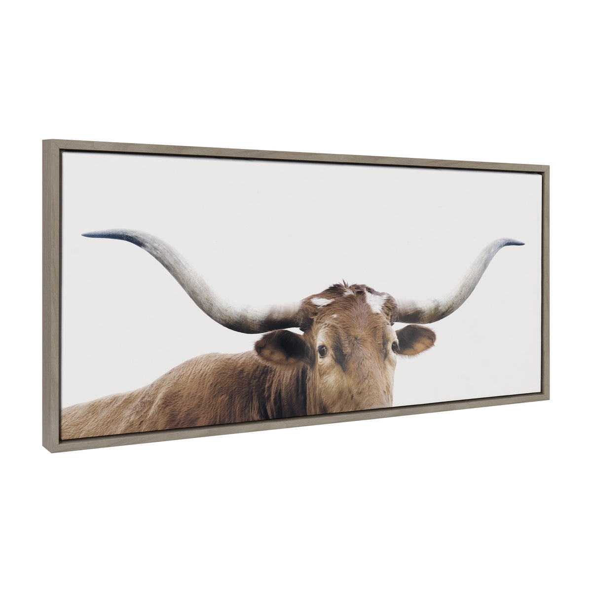 Sylvie Texas Longhorn Framed Canvas by The Creative Bunch Studio