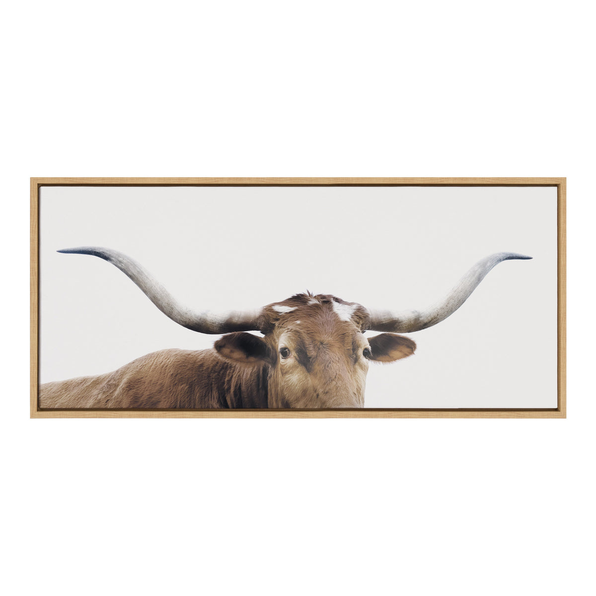 Sylvie Texas Longhorn Framed Canvas by The Creative Bunch Studio