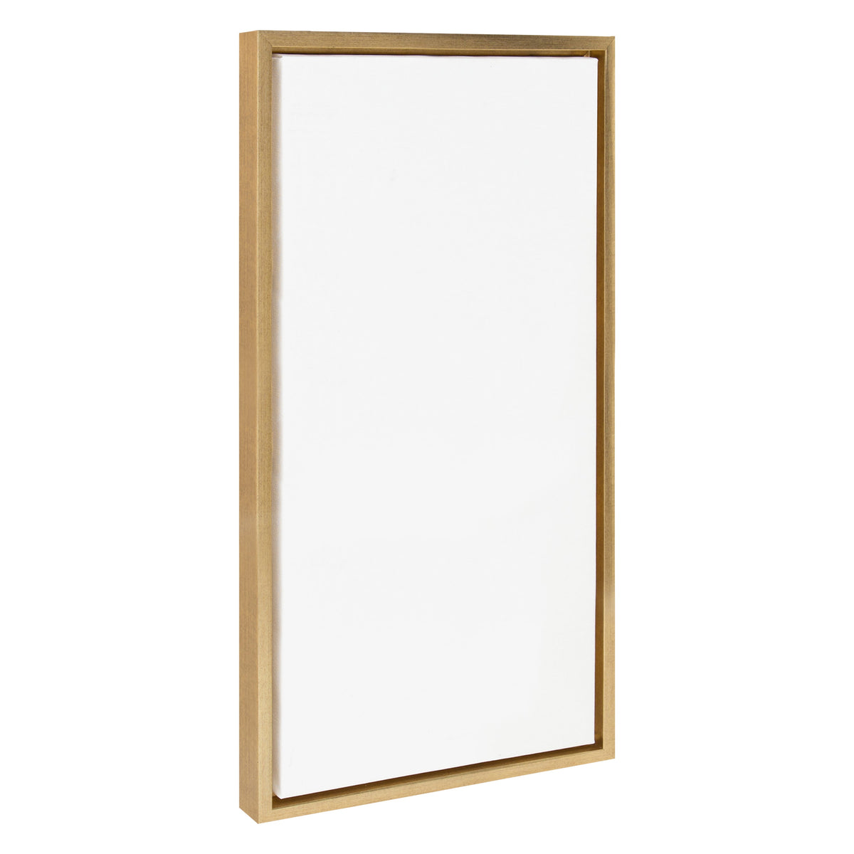 Sylvie Blank Framed Canvas 14x26