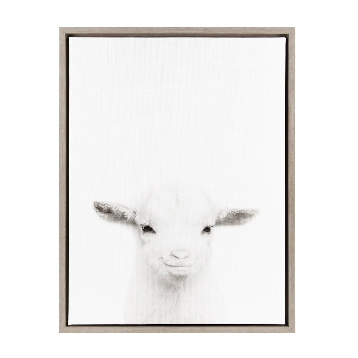 Sylvie Baby Goat Framed Canvas by Simon Te Tai