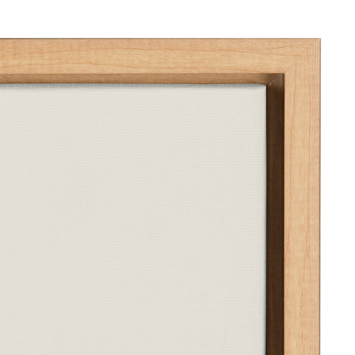 Sylvie Flying Pigs Framed Canvas by Rachel Lee of My Dream Wall