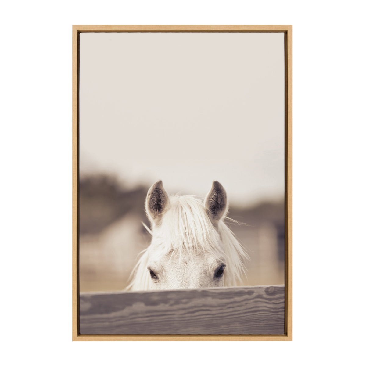 Sylvie Equine Framed Canvas by Robert Cadloff of Bomobob