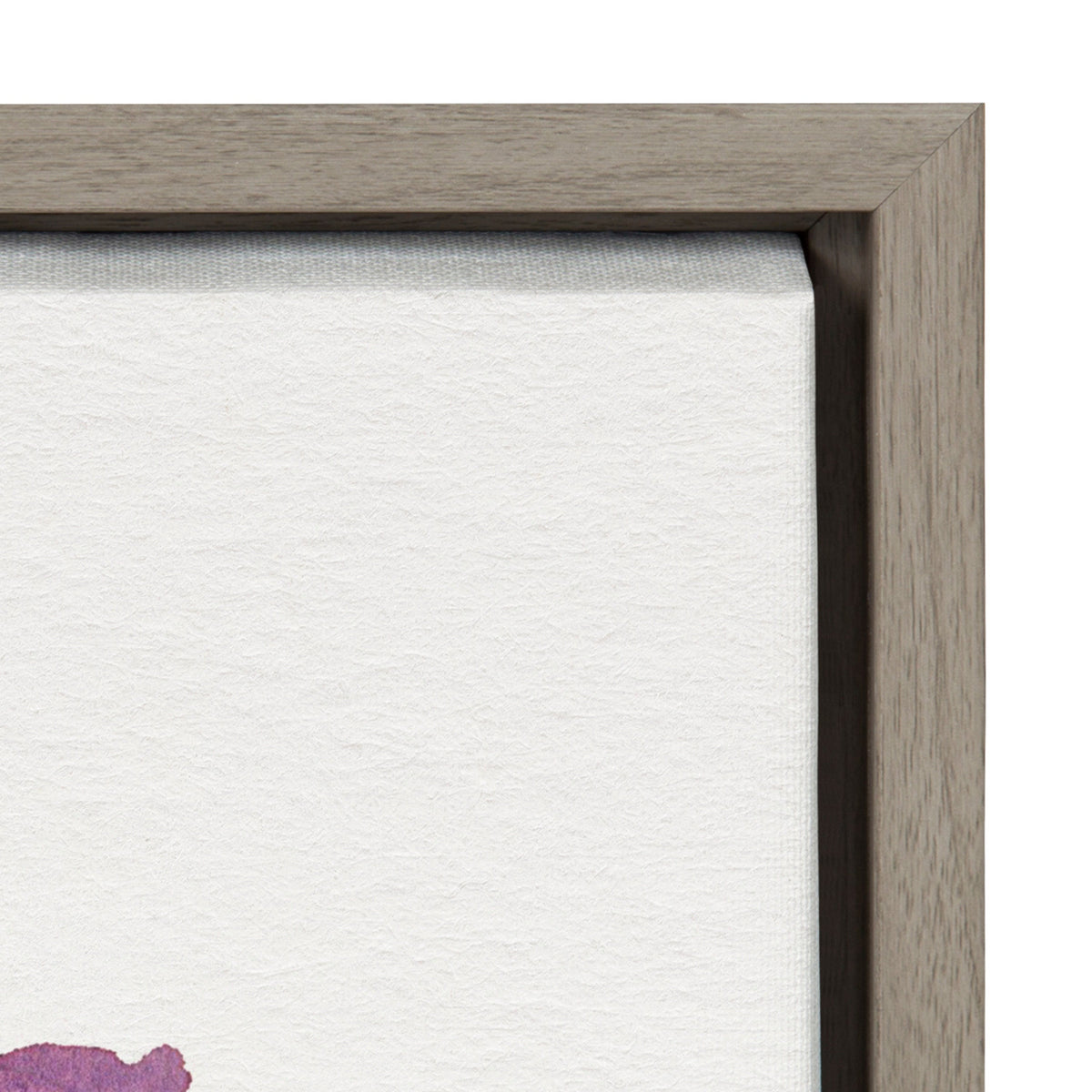 Sylvie Wildflorals Framed Canvas by Patricia Shaw