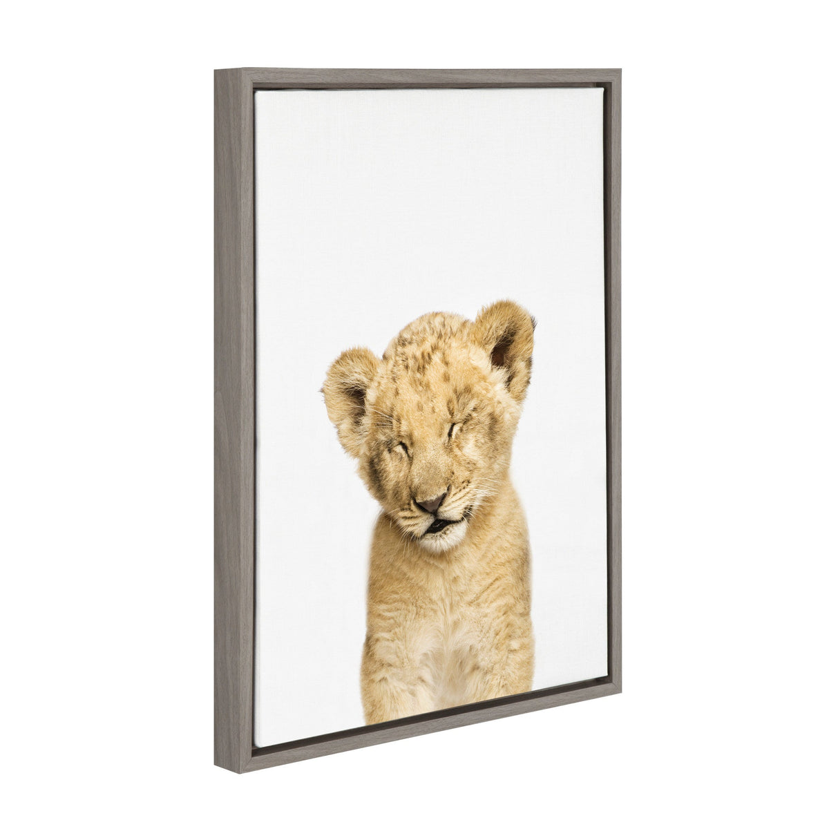 Sylvie Animal Studio Sleepy Lion Framed Canvas by Amy Peterson Art Studio
