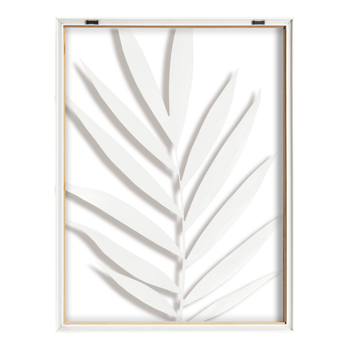 Blake Botanical 5F Framed Printed Glass by Amy Peterson