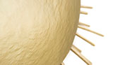 Soleil Wall Light