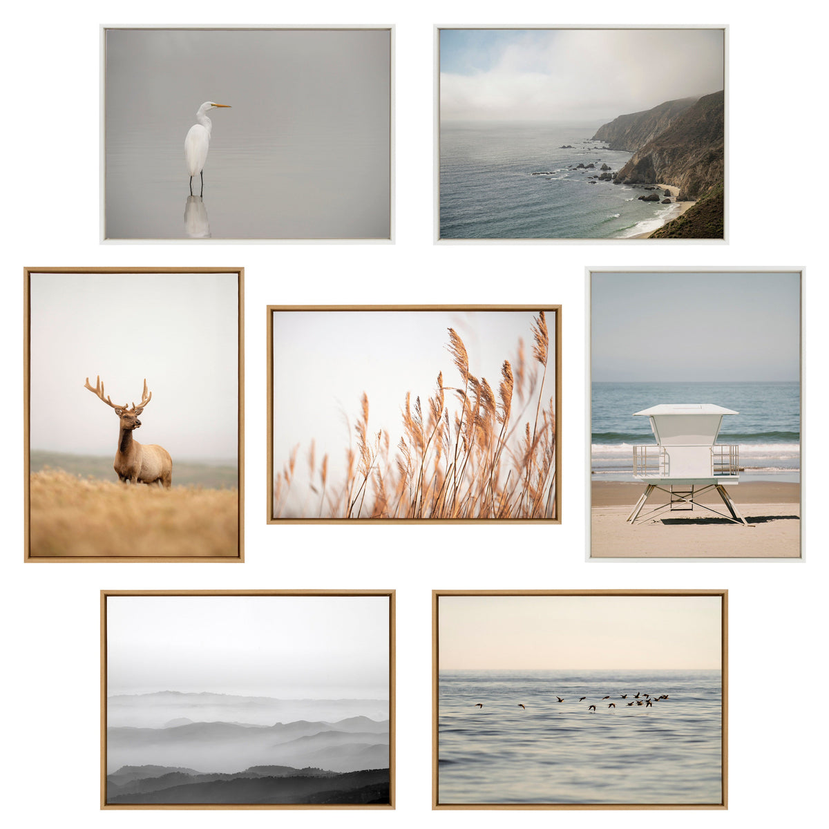 Sylvie Great White Egret Framed Canvas by Crystal Lynn Collins