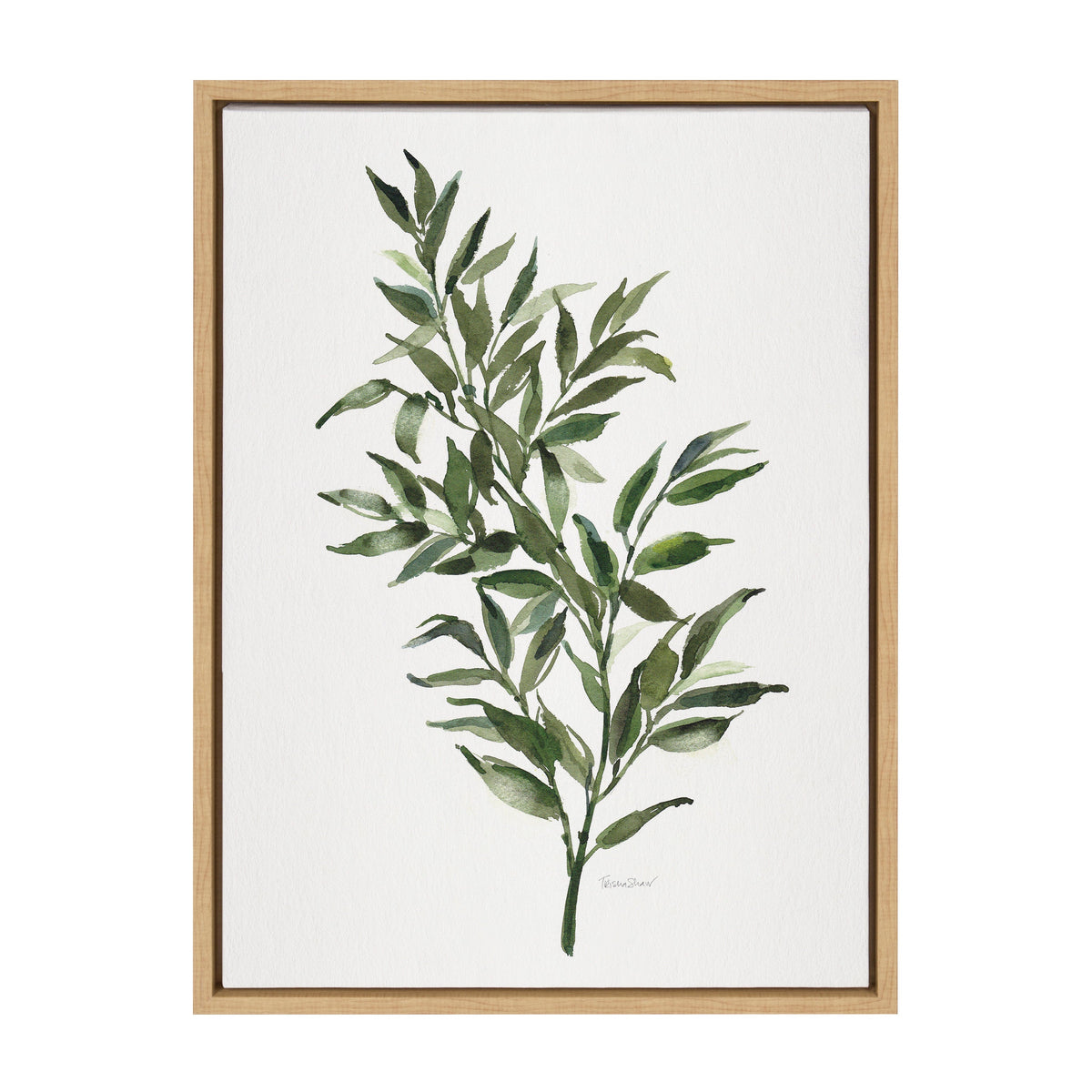 Sylvie Ruscus Framed Canvas by Patricia Shaw