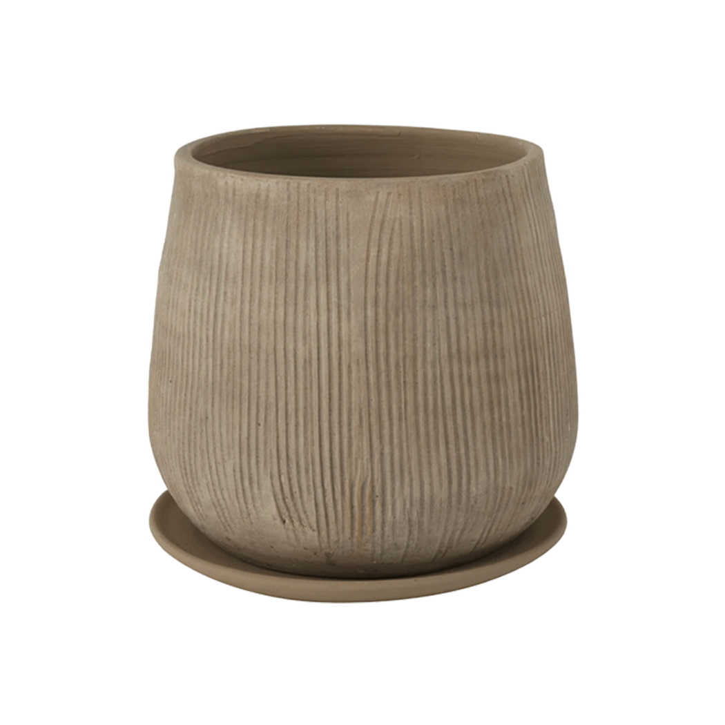 Toki Pot - Source by Studio Skara