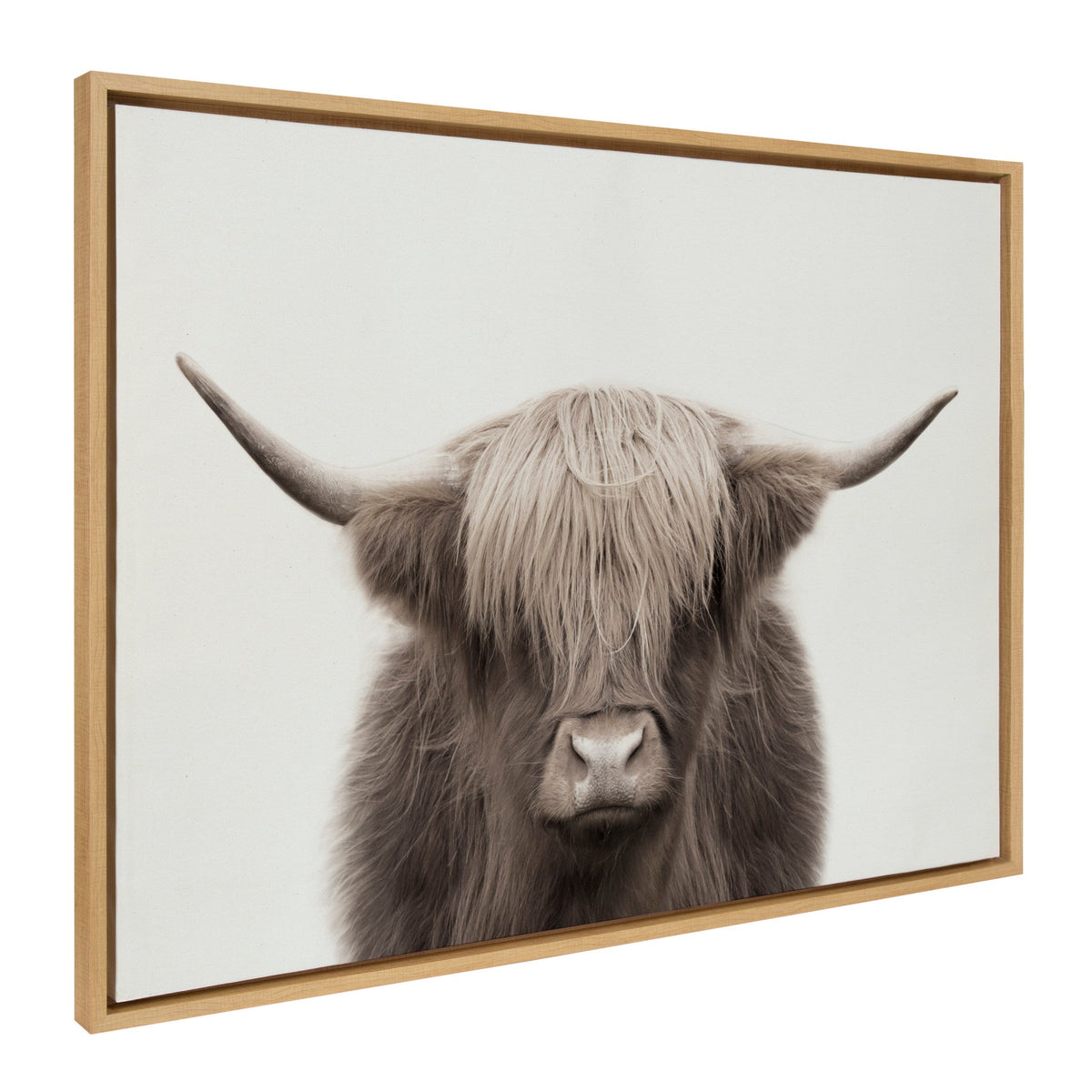 Sylvie Hey Dude Highland Cow Color Framed Canvas by The Creative Bunch Studio