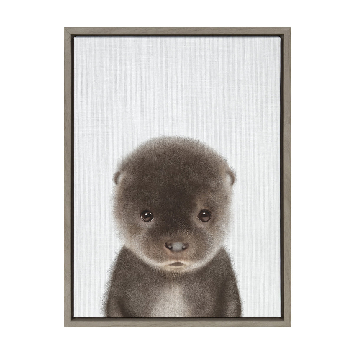 Sylvie Baby Otter Color Illustration Framed Canvas by Simon Te of Tai Prints