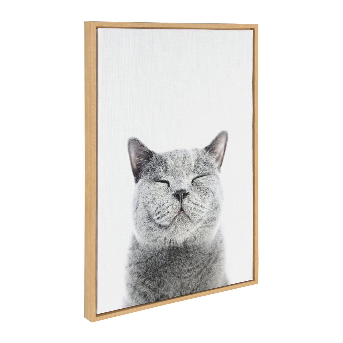 Sylvie Smiling Cat Framed Canvas by Amy Peterson Art Studio