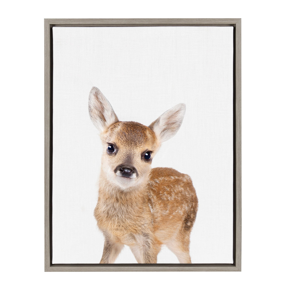 Sylvie Animal Studio Deer Framed Canvas by Amy Peterson Art Studio