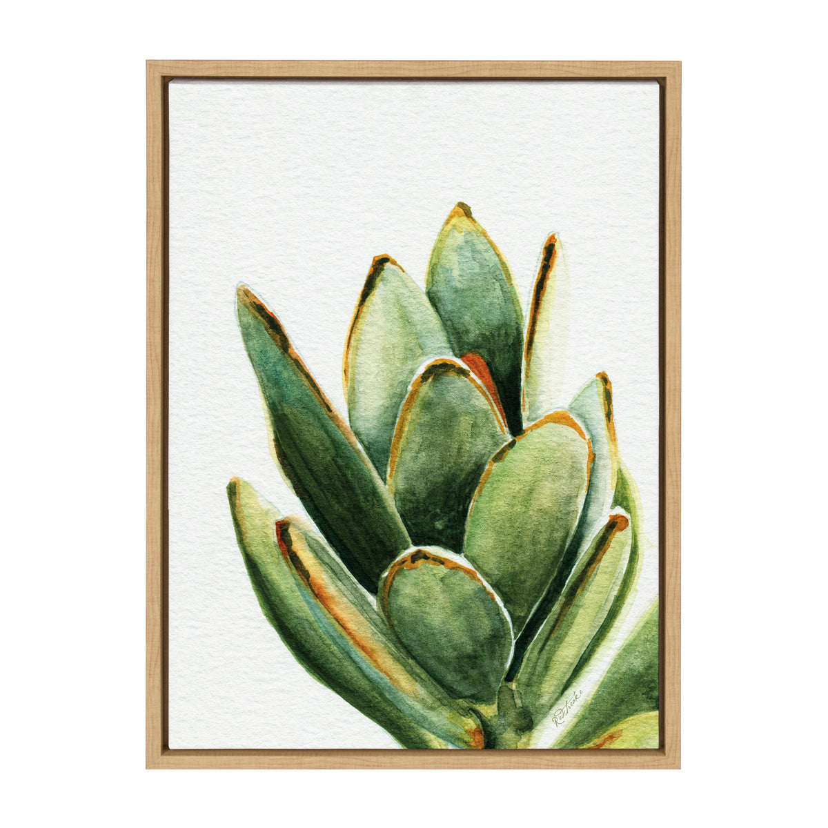Sylvie Succulent 18 Framed Canvas By Jennifer Redstreake Geary