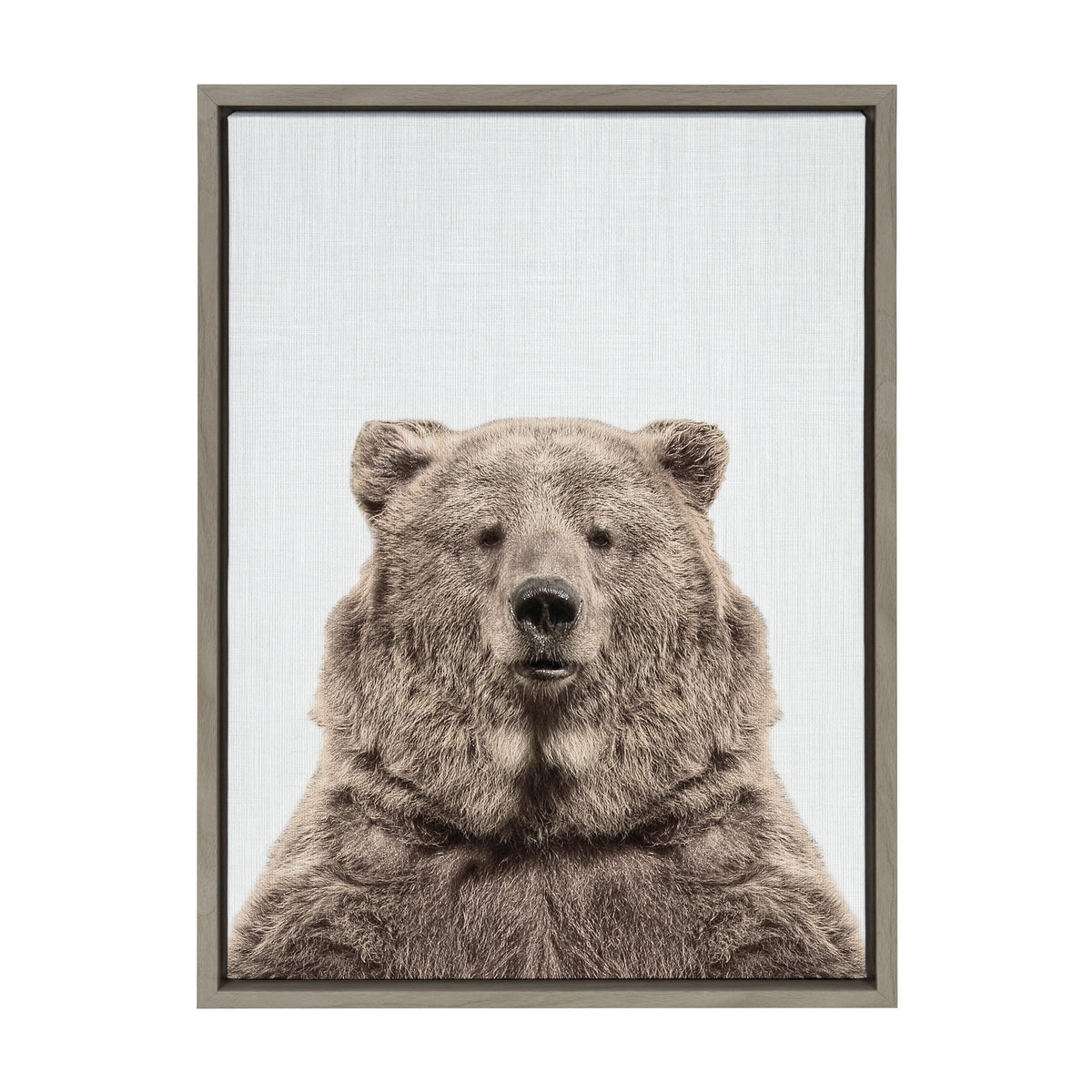 Sylvie Bear European Color Framed Canvas by Simon Te of Tai Prints