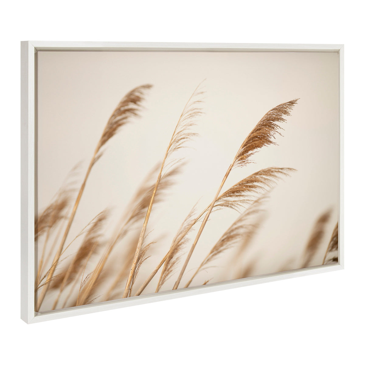 Sylvie Marsh Grass No 8 Framed Canvas by Crystal Lynn Collins