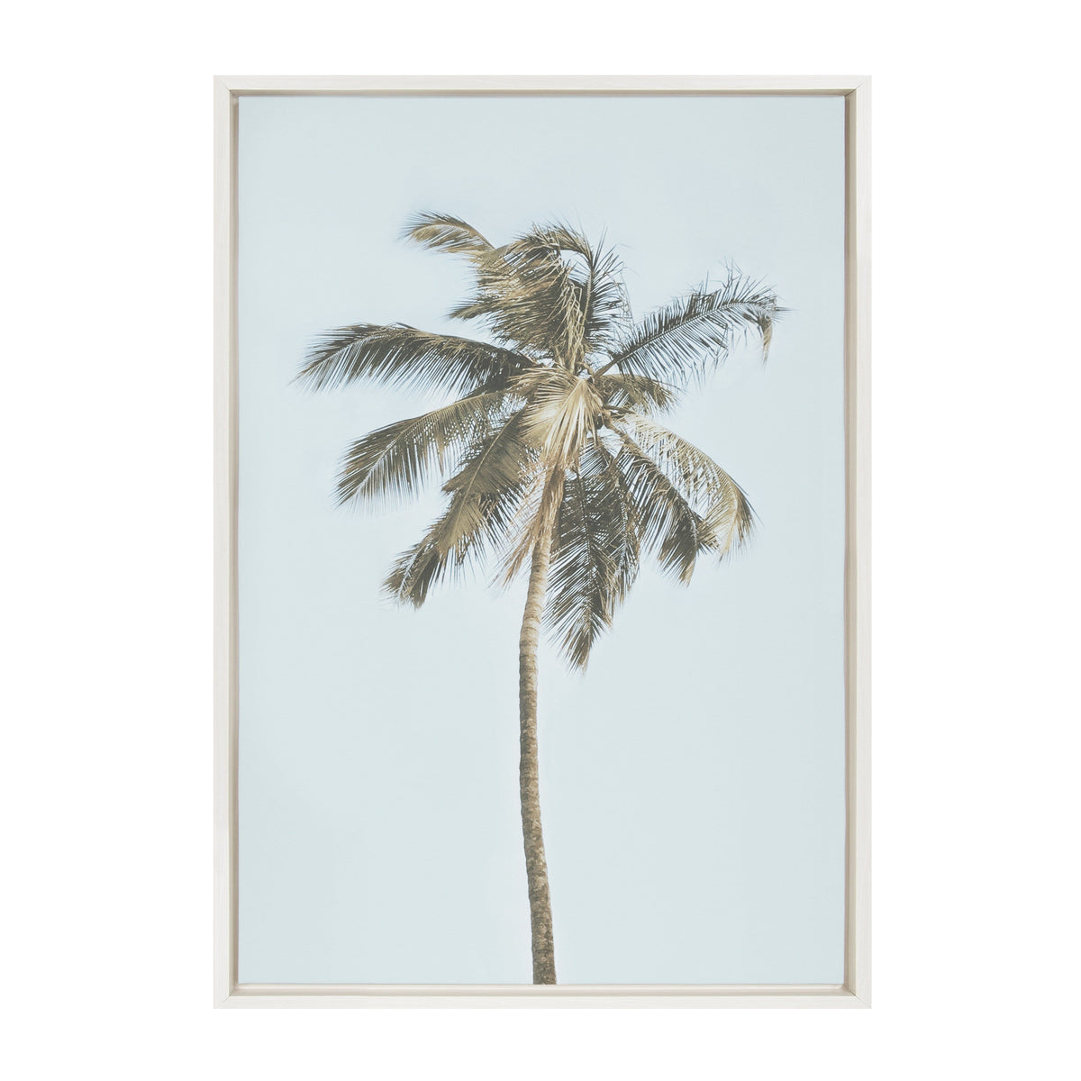 Sylvie One Coconut Palm Tree Framed Canvas by The Creative Bunch Studio