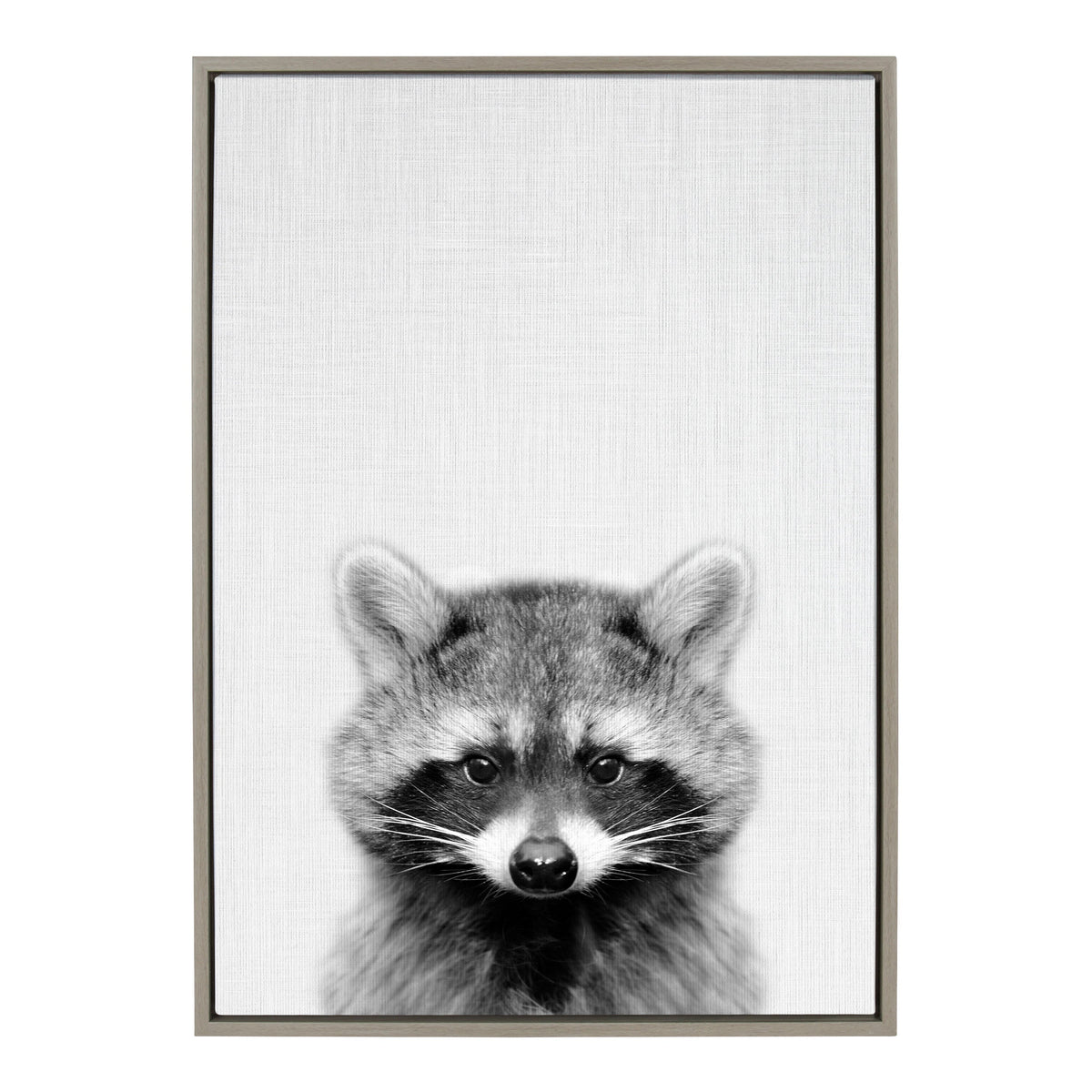 Sylvie Raccoon Framed Canvas by Simon Te Tai