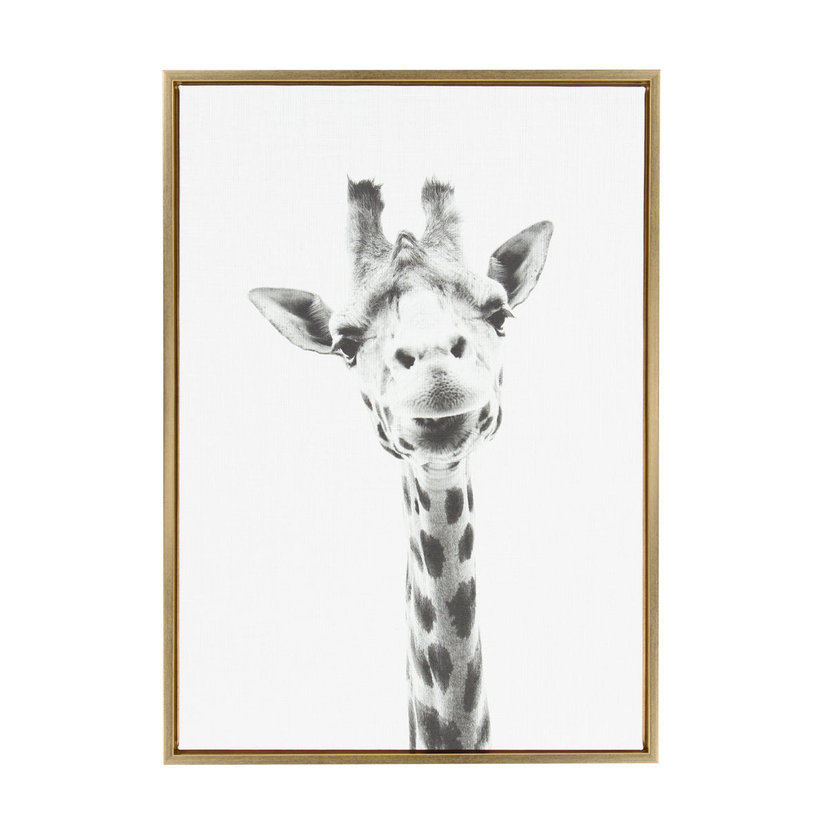 Sylvie Giraffe Framed Canvas by Simon Te of Tai Prints