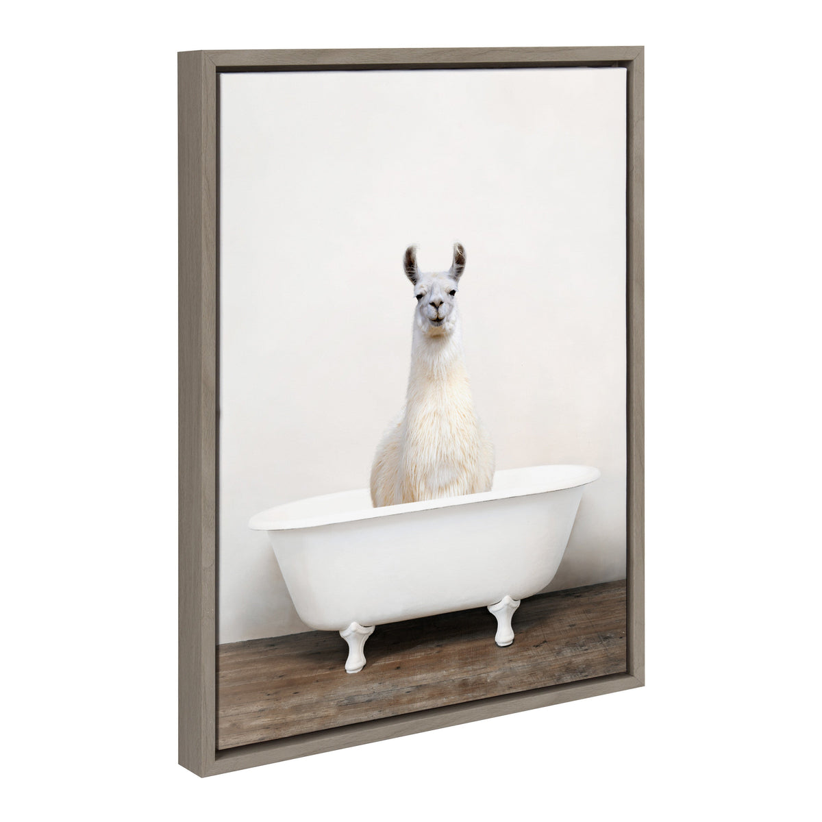 Sylvie Alpaca in the Tub Color Framed Canvas by Amy Peterson Art Studio