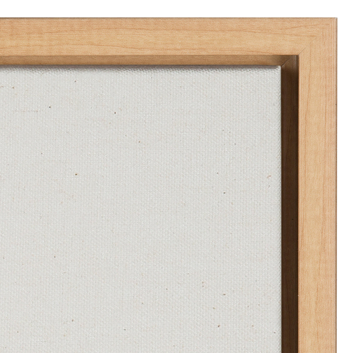 Sylvie Tree Rings Linen Framed Canvas by Emiko and Mark Franzen of F2Images