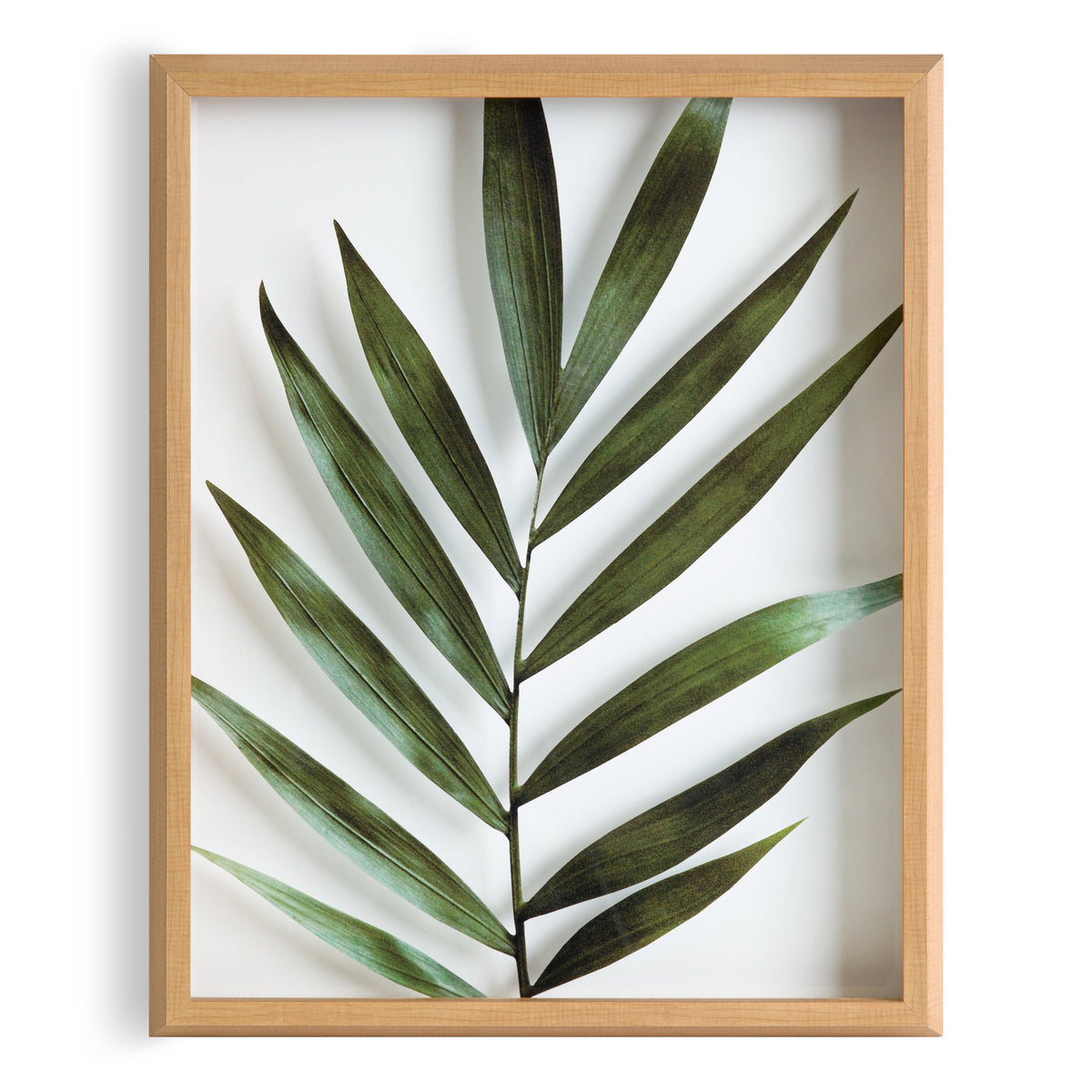 Blake Botanical 5F Framed Printed Glass by Amy Peterson