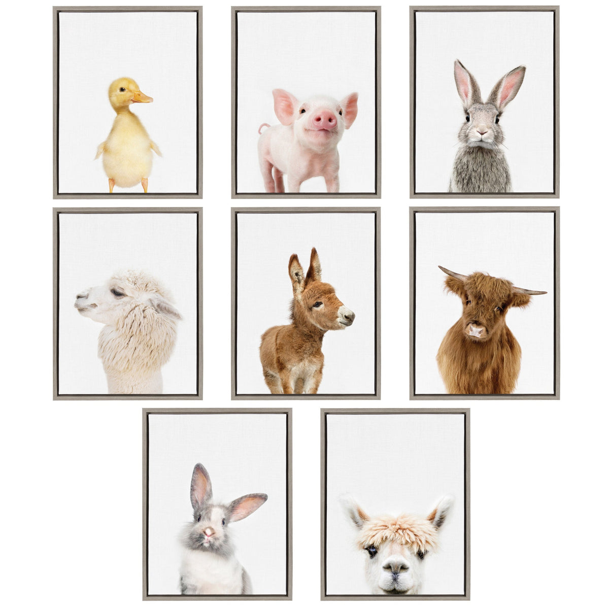 Sylvie Animal Studio Cute Male Rabbit Framed Canvas by Amy Peterson Art Studio