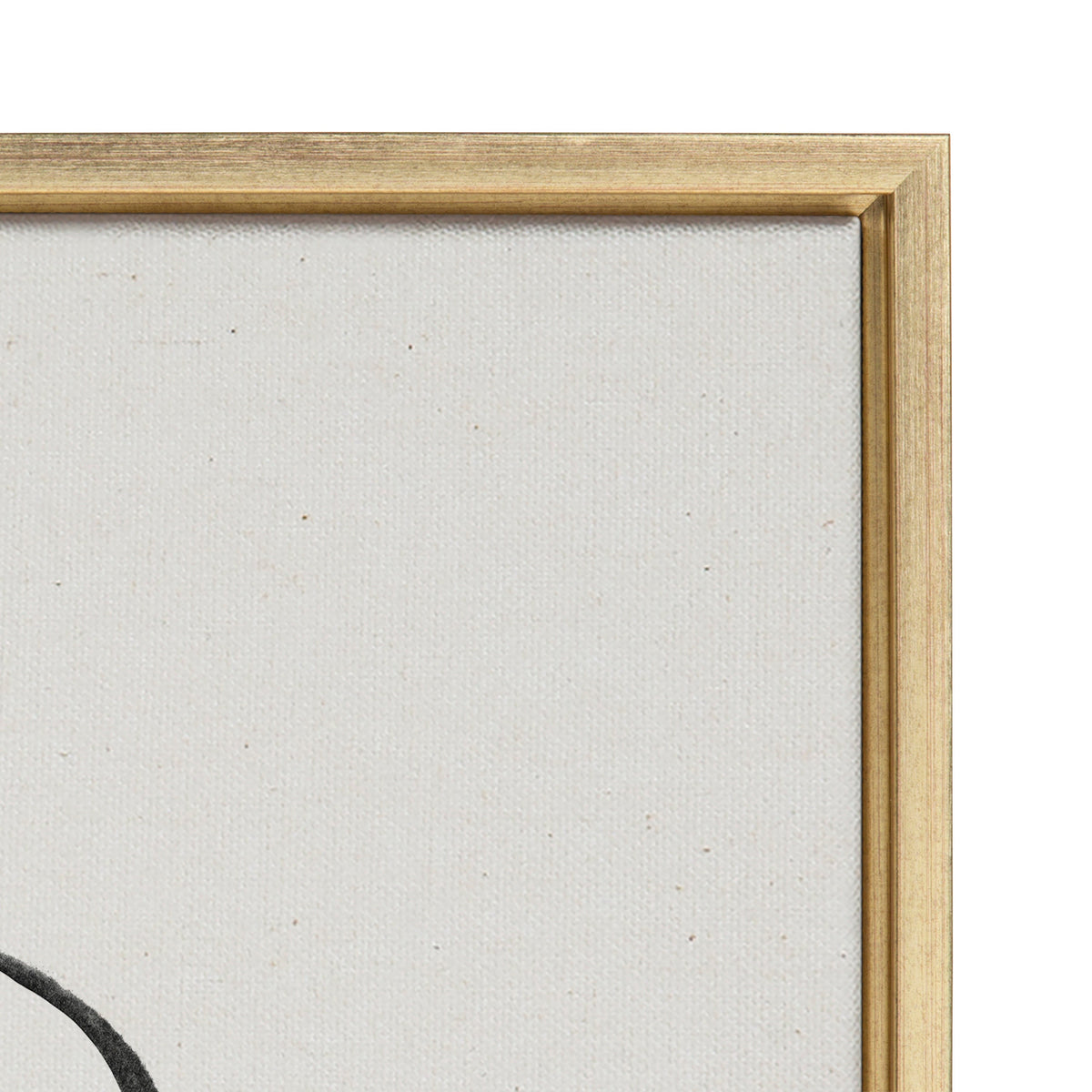 Sylvie Going in Circles Framed Textured Canvas Set by Teju Reval