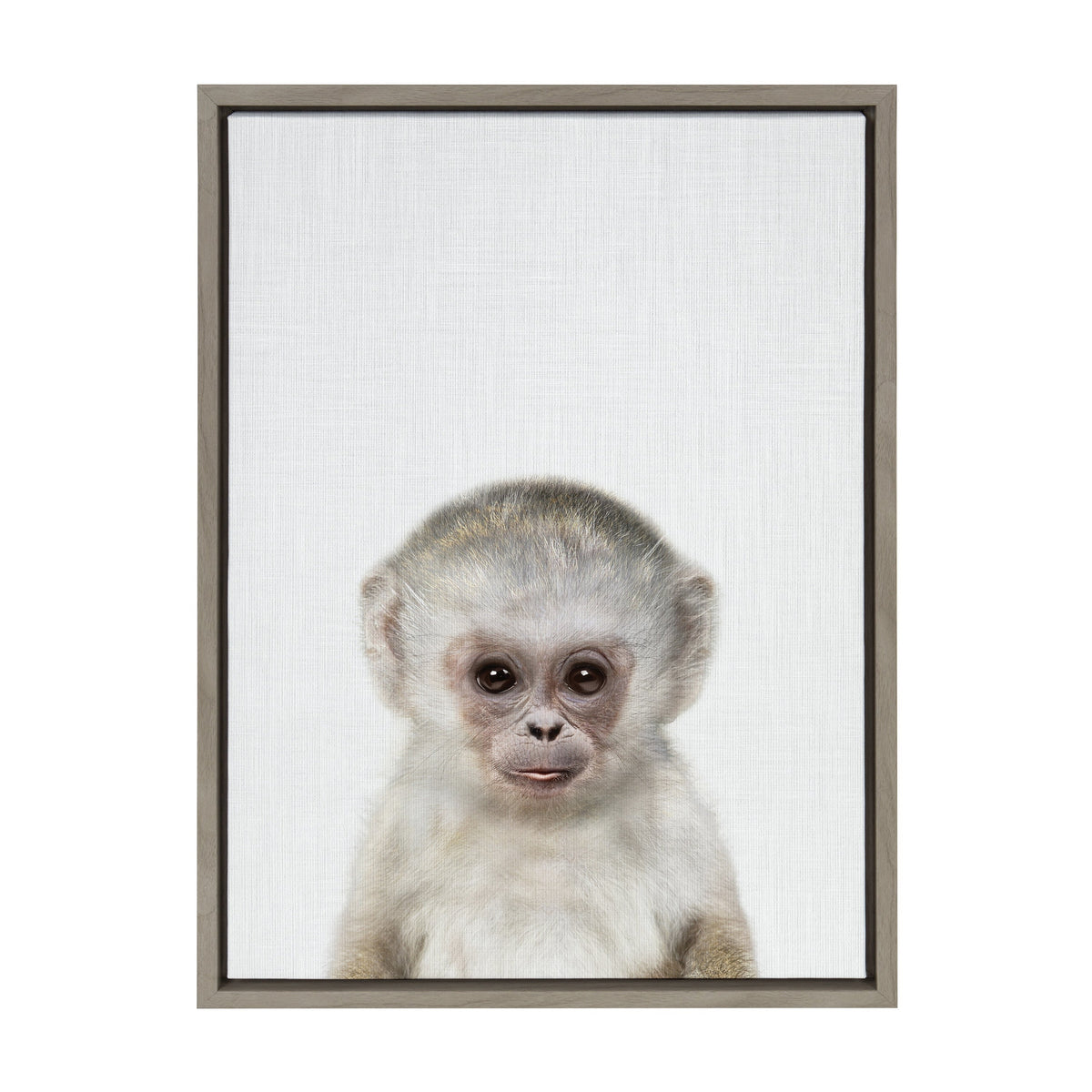 Sylvie Monkey Color Framed Canvas by Simon Te of Tai Prints
