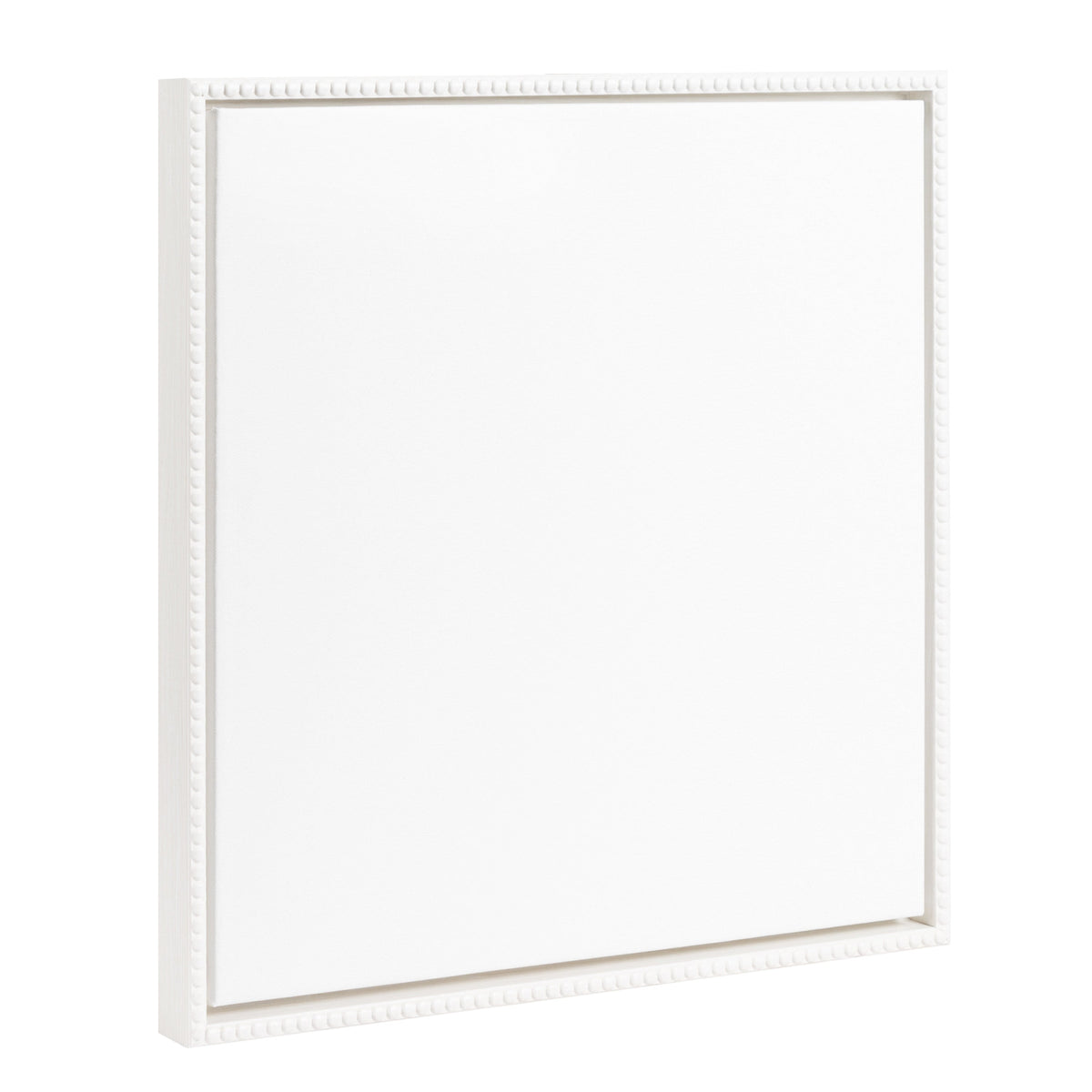 Sylvie Blank Framed Canvas 22x22