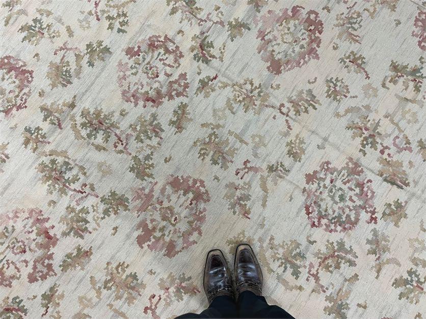 9x12 Flatweave Aubusson Needlepoint Rug, New, Beige, Tan, Green, Handmade, Hand-Knotted Area Rug, French European Carpet, Flowers - Jewel Rugs, view 4