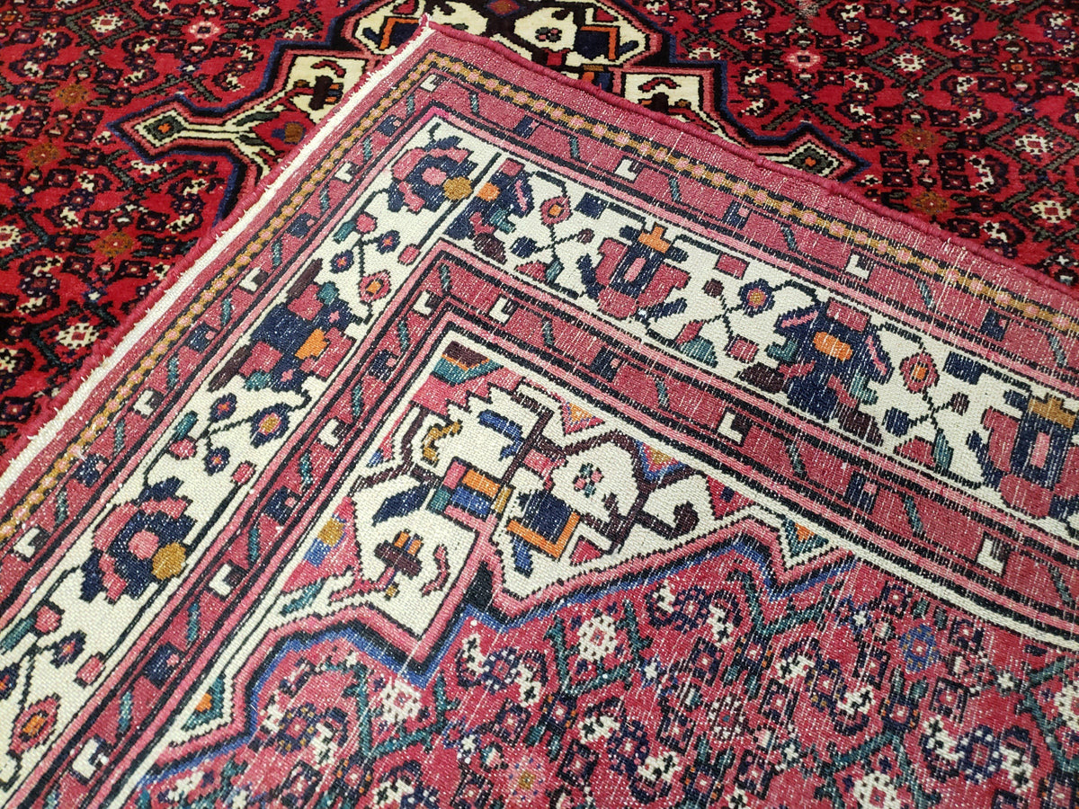 Vintage Persian Hamedan Rug 7x10, Angelas Mahi Pattern, Red, Wool, Hand-Knotted - Jewel Rugs, view 11