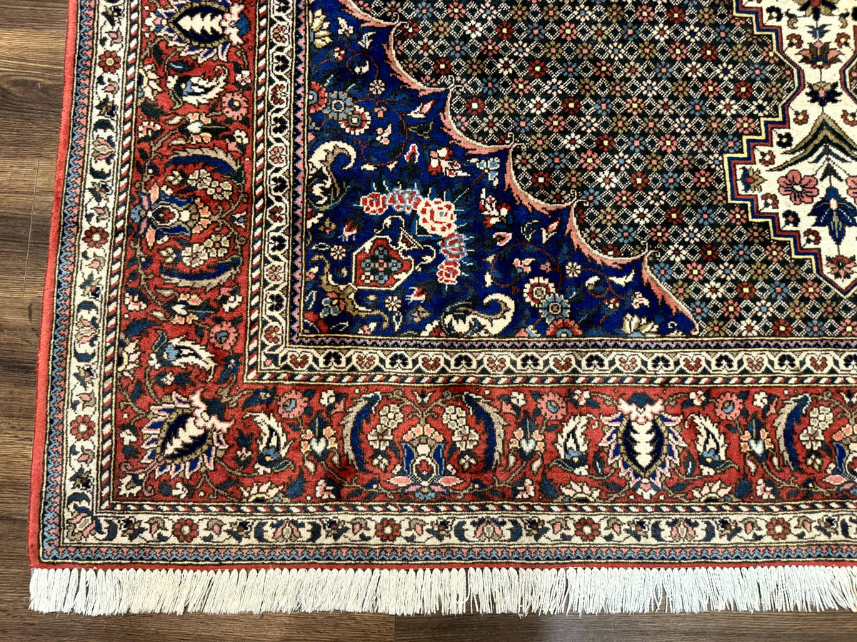 Persian Rug 7x10, Bakhtiari Saman Rug, Unique Design and Colors, Ivory Red Blue, Large Tribal Rug - Jewel Rugs, view 8