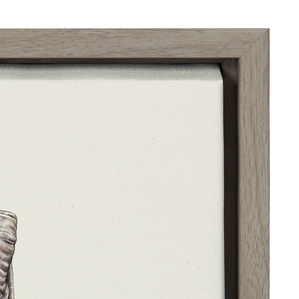 Sylvie Ram Framed Canvas by Ron Dunn