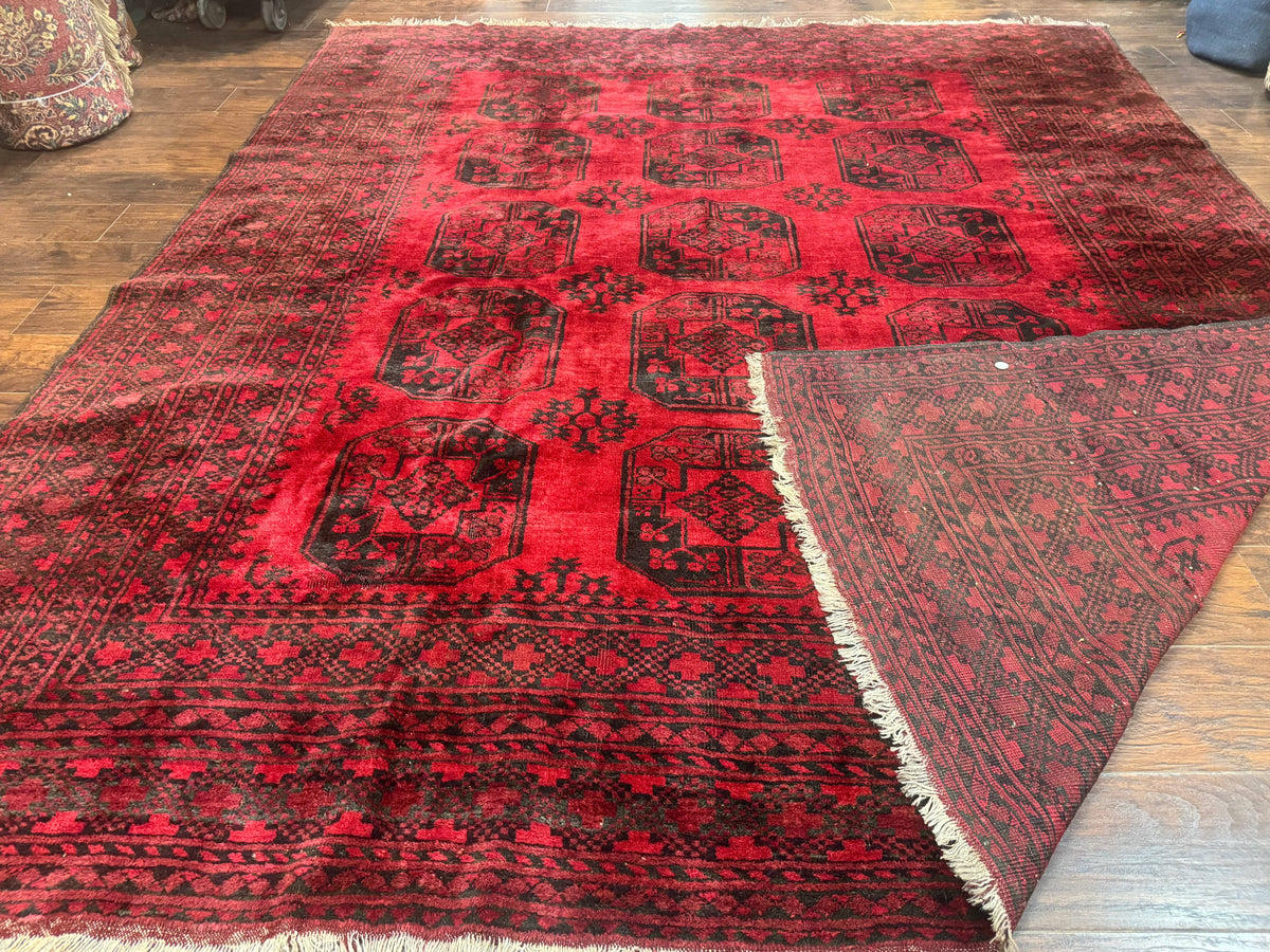 Afghan Turkoman Rug 9x10, Red Beshir Carpet, Tribal, Wool, Antique - Jewel Rugs, view 11