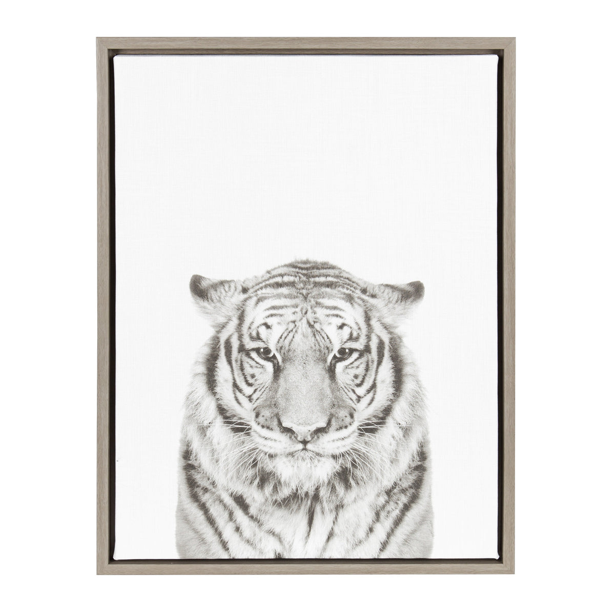 Sylvie Tiger Framed Canvas by Simon Te of Tai Prints