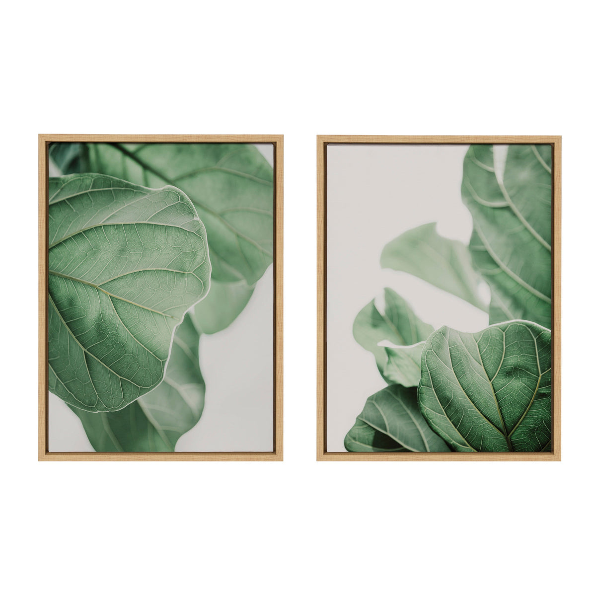 Sylvie Plant Study 6 and Plant Study 7 Framed Canvas Set by Alicia Abla