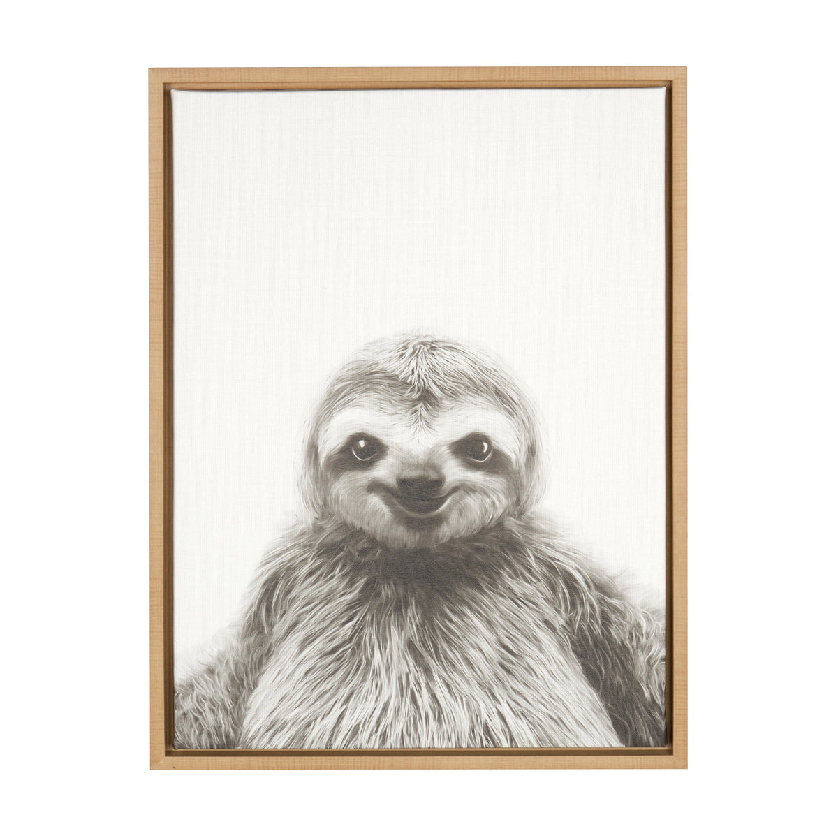 Sylvie Sloth Framed Canvas by Simon Te Tai